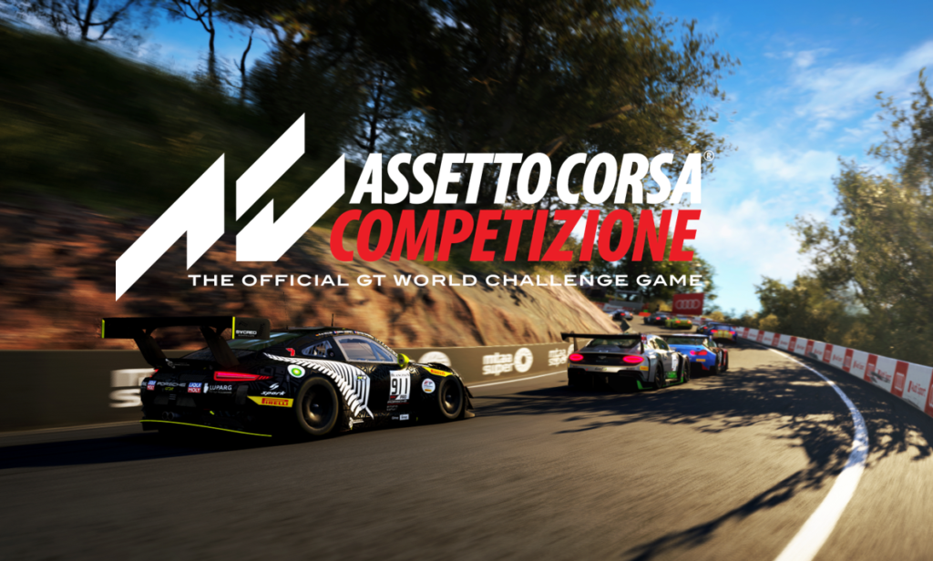  Assetto Corsa Competizione - PlayStation 4 : 505 Games: Video  Games